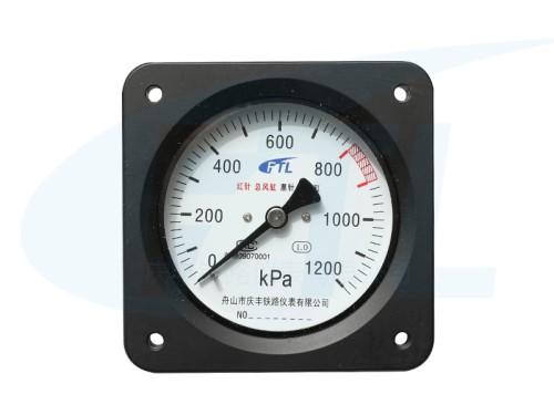 YYS-Q-100Z double needle pressure gauge