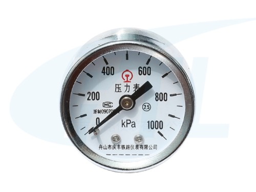 Y40Z Single needle pressure gauge -M10*1.0