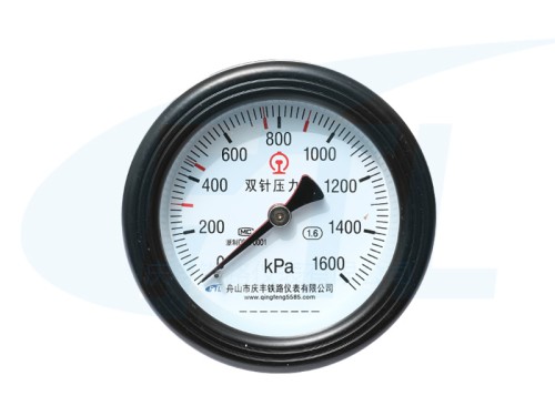 YCS100-III double needle pressure gauge