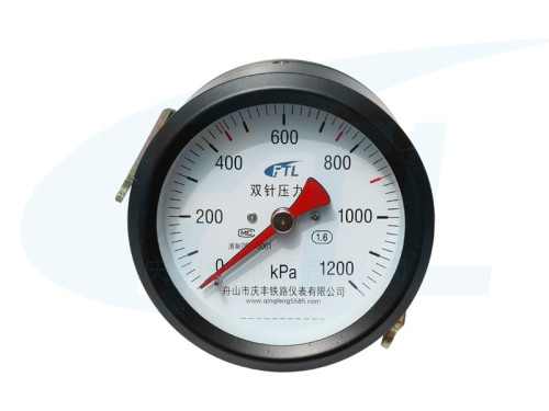 YZS-102Z double needle pressure gauge