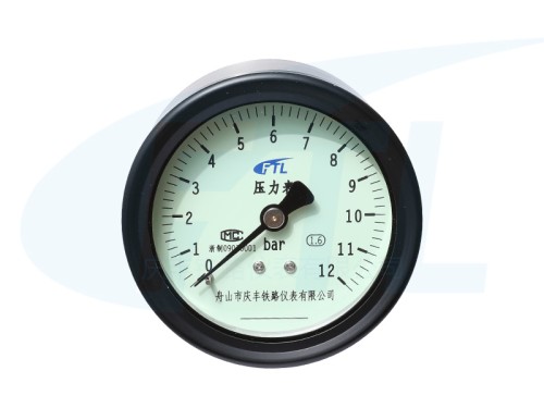 YYD-80Z single needle pressure gauge