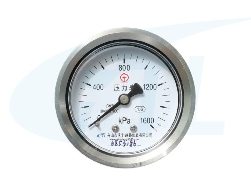 Y60Z stainless steel pressure gauge