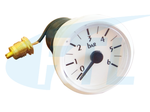 BY37 Wall mounted furnace pressure gauge -6bar