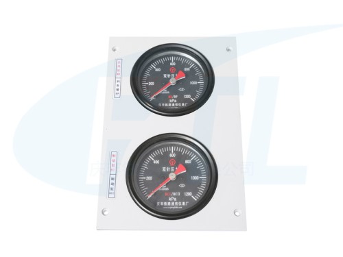 ZDY1 instrument combination module