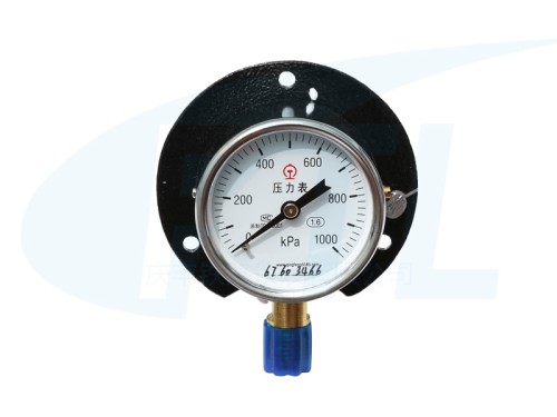 Y60T single needle pressure gauge