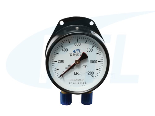 YCS100 double needle pressure gauge