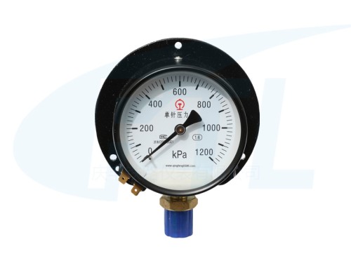 Y 100T-II Single needle pressure gauge