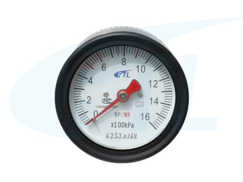 YTS-80Z Double Needle Pressure Gauge (Outlet)